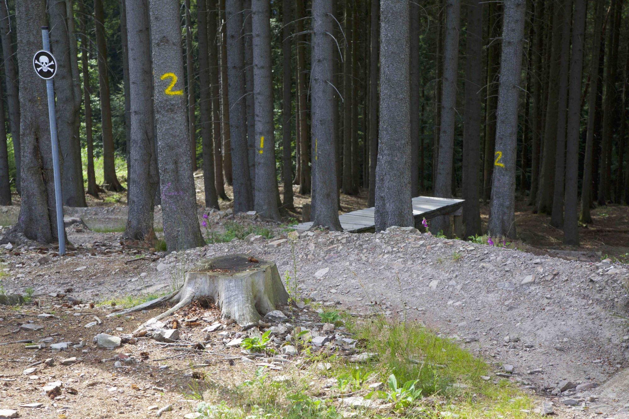 Abschnitt 2.1 – Emser-Bikepark