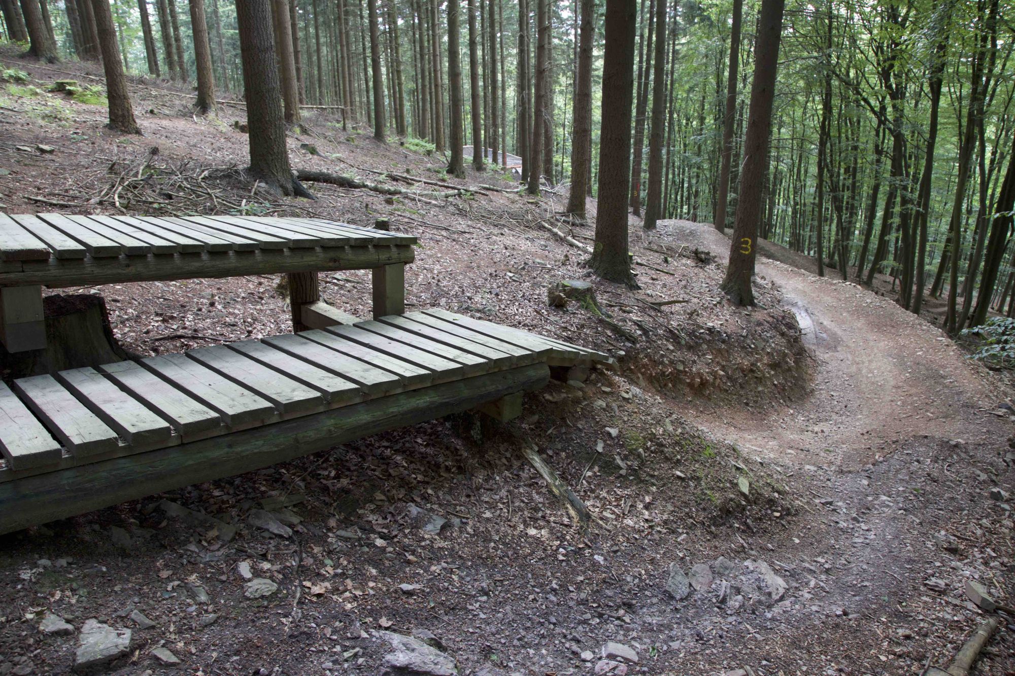 Abschnitt 3.3 – Emser-Bikepark