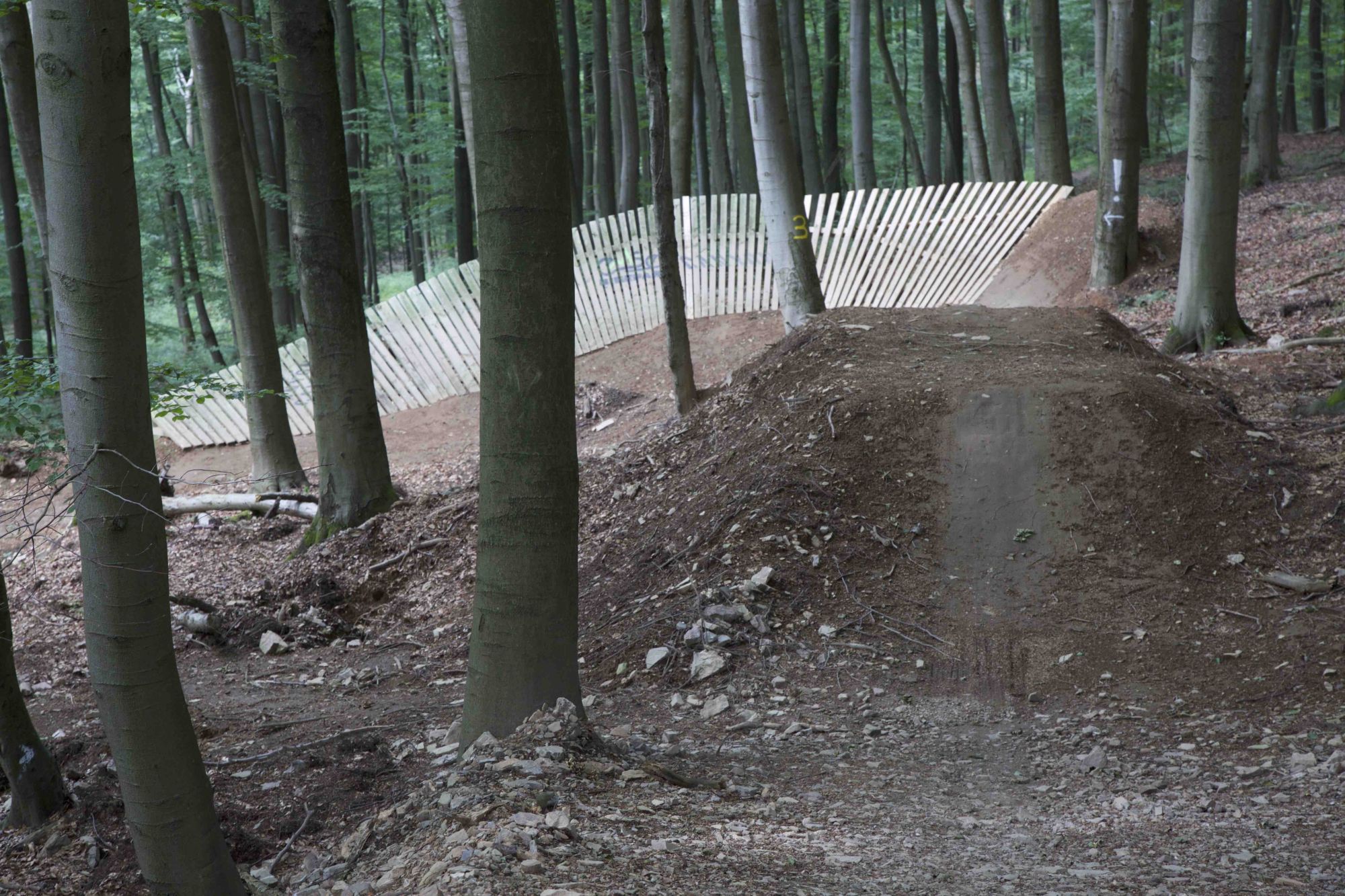 Abschnitt 3.6 – Emser-Bikepark