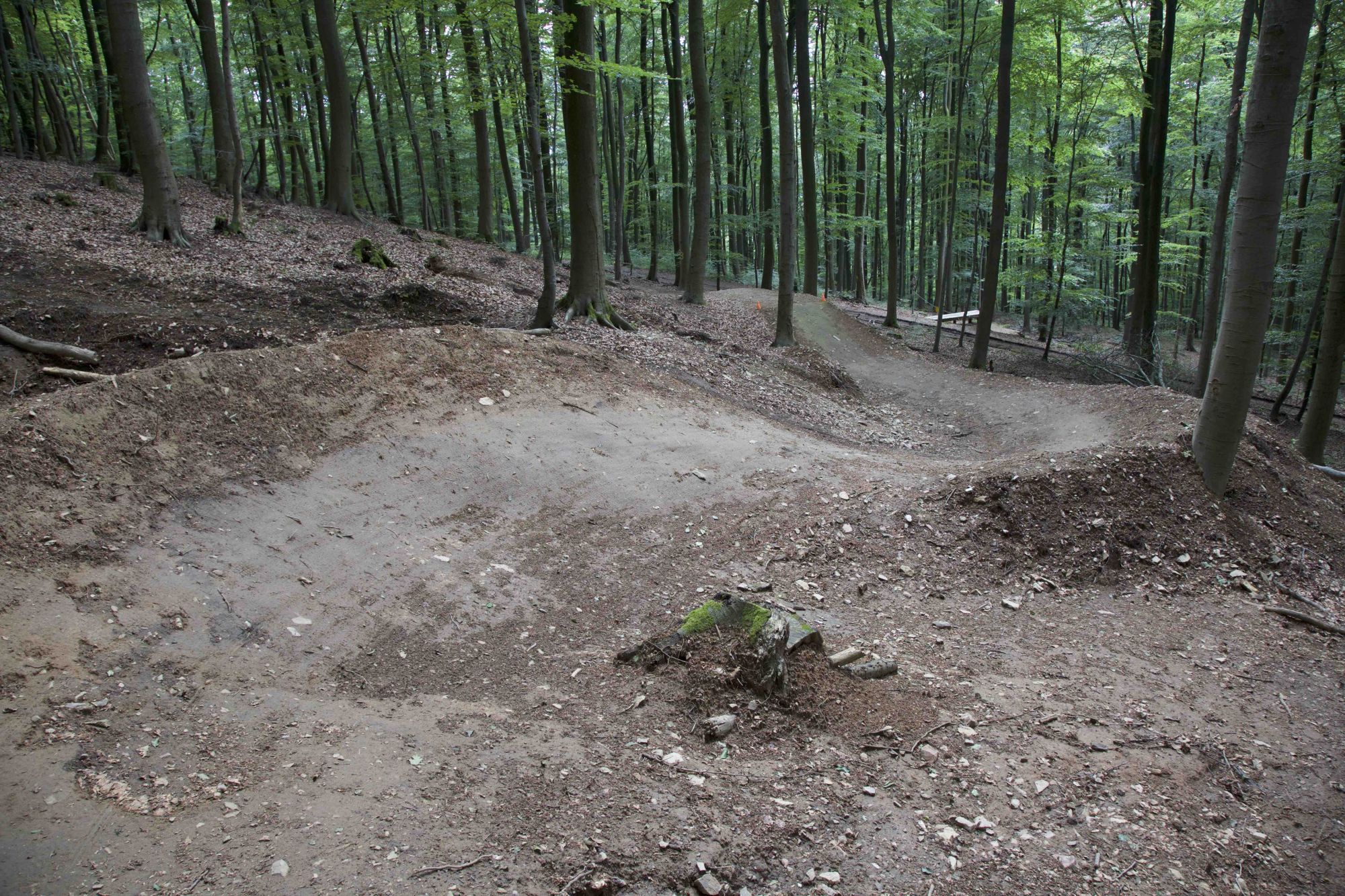 Abschnitt 3.7 – Emser-Bikepark