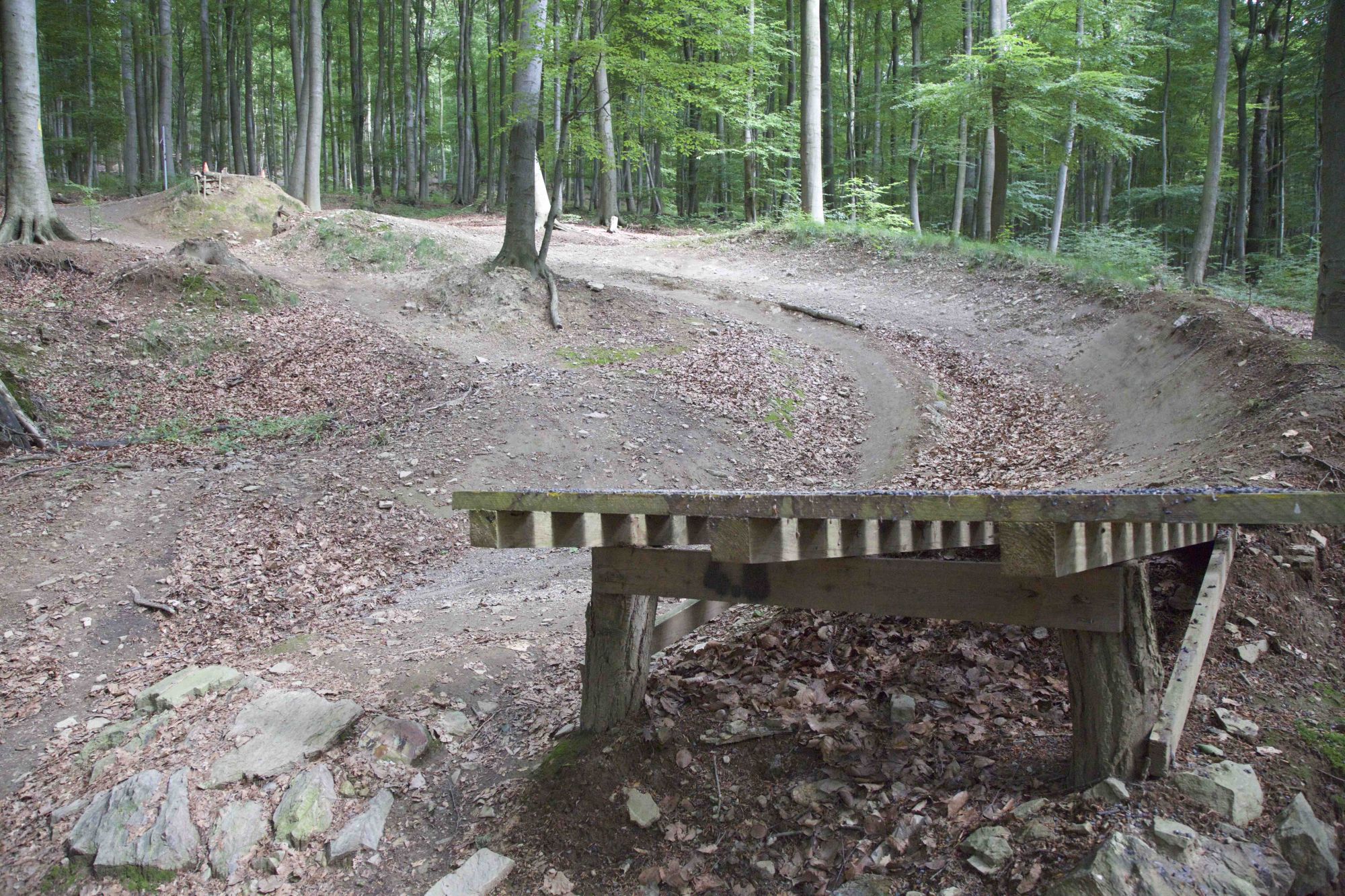 Abschnitt 4.6 – Emser-Bikepark