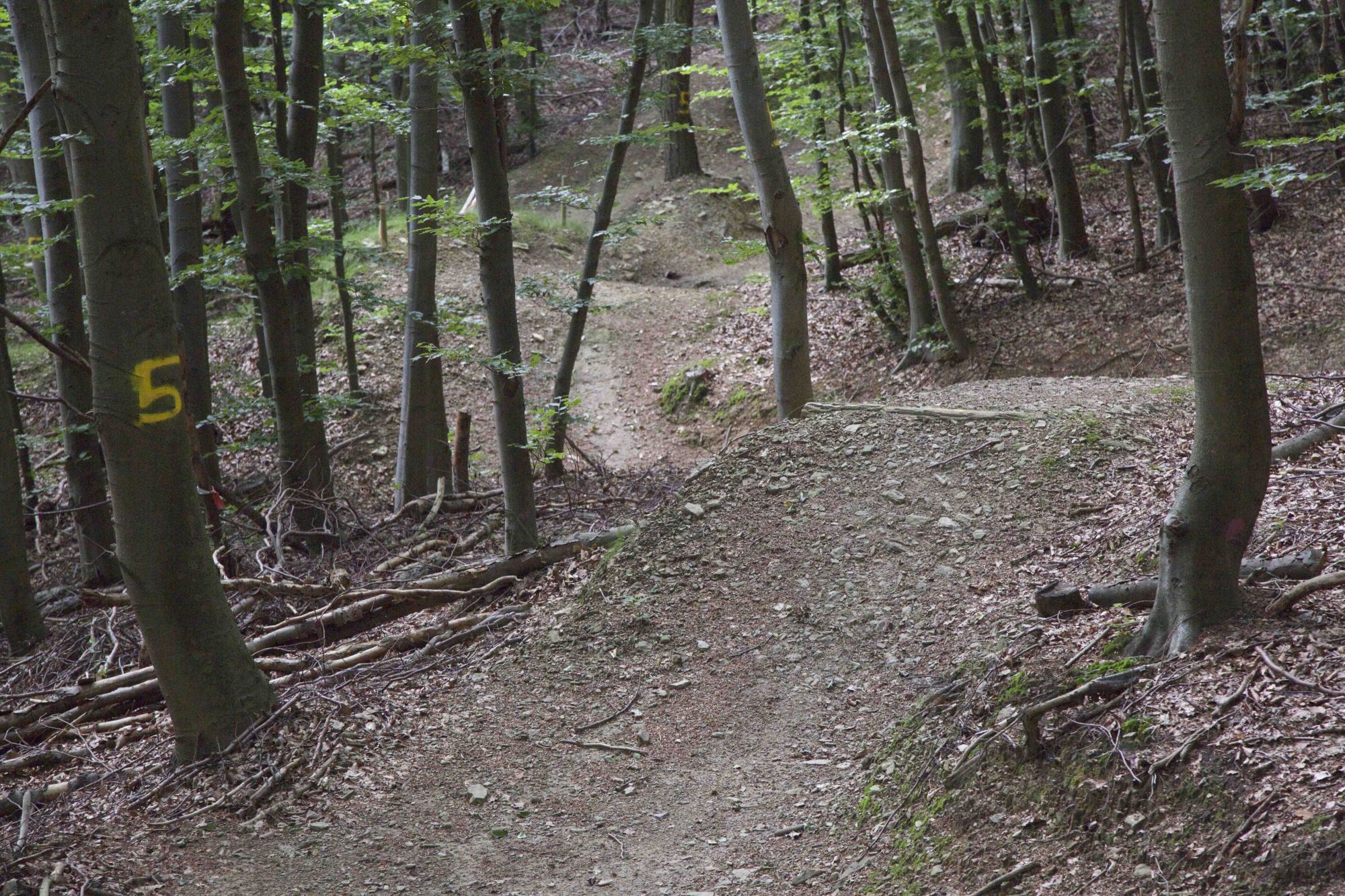 Abschnitt 5.2 – Emser-Bikepark