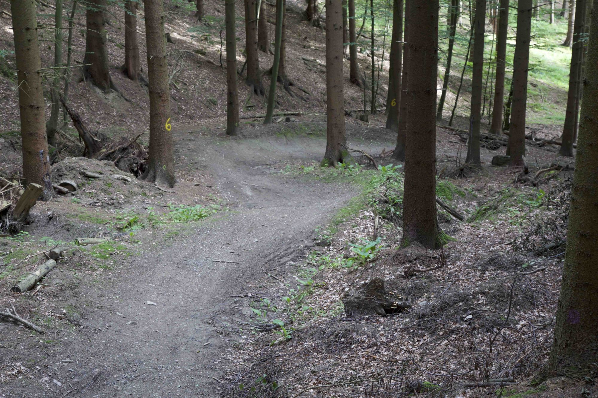 Abschnitt 6.11 – Emser-Bikepark