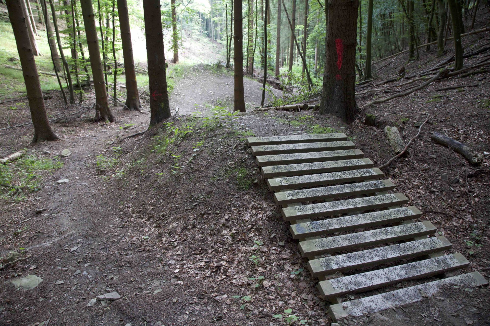 Abschnitt 6.12 – Emser-Bikepark