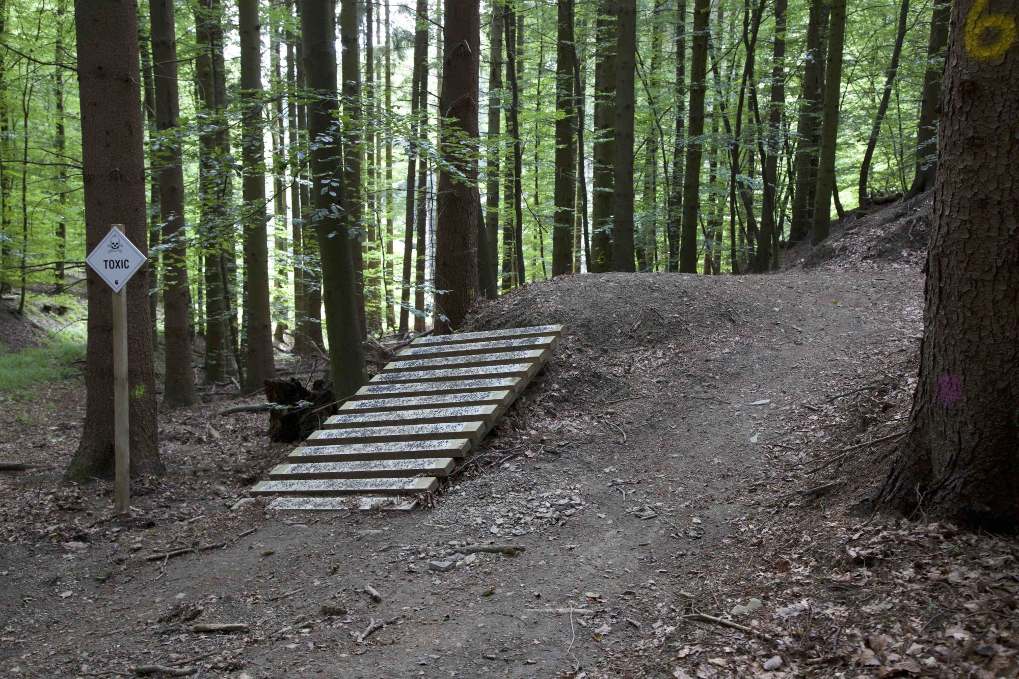 Abschnitt 6.3 – Emser-Bikepark