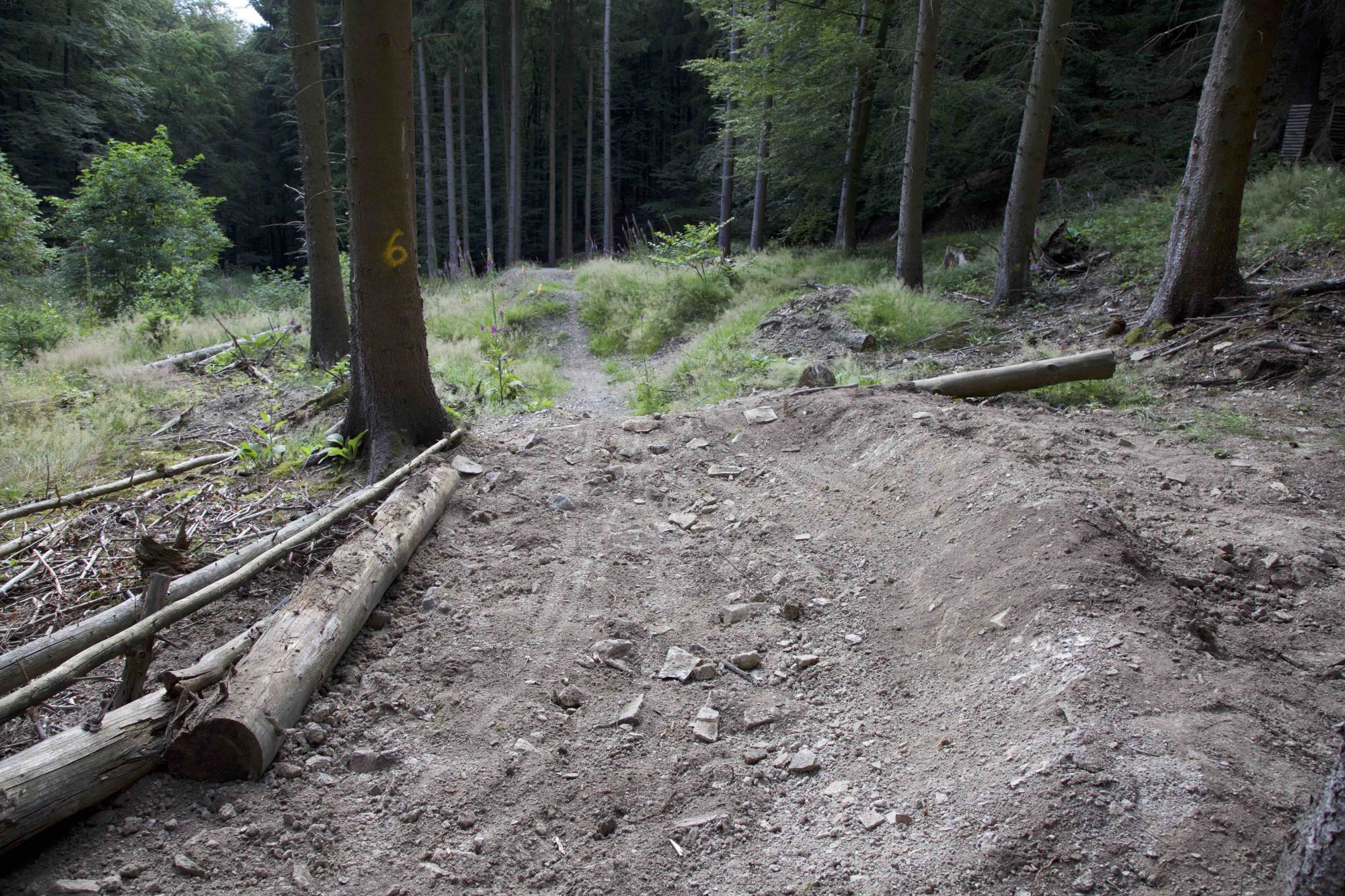 Abschnitt 6.5 – Emser-Bikepark