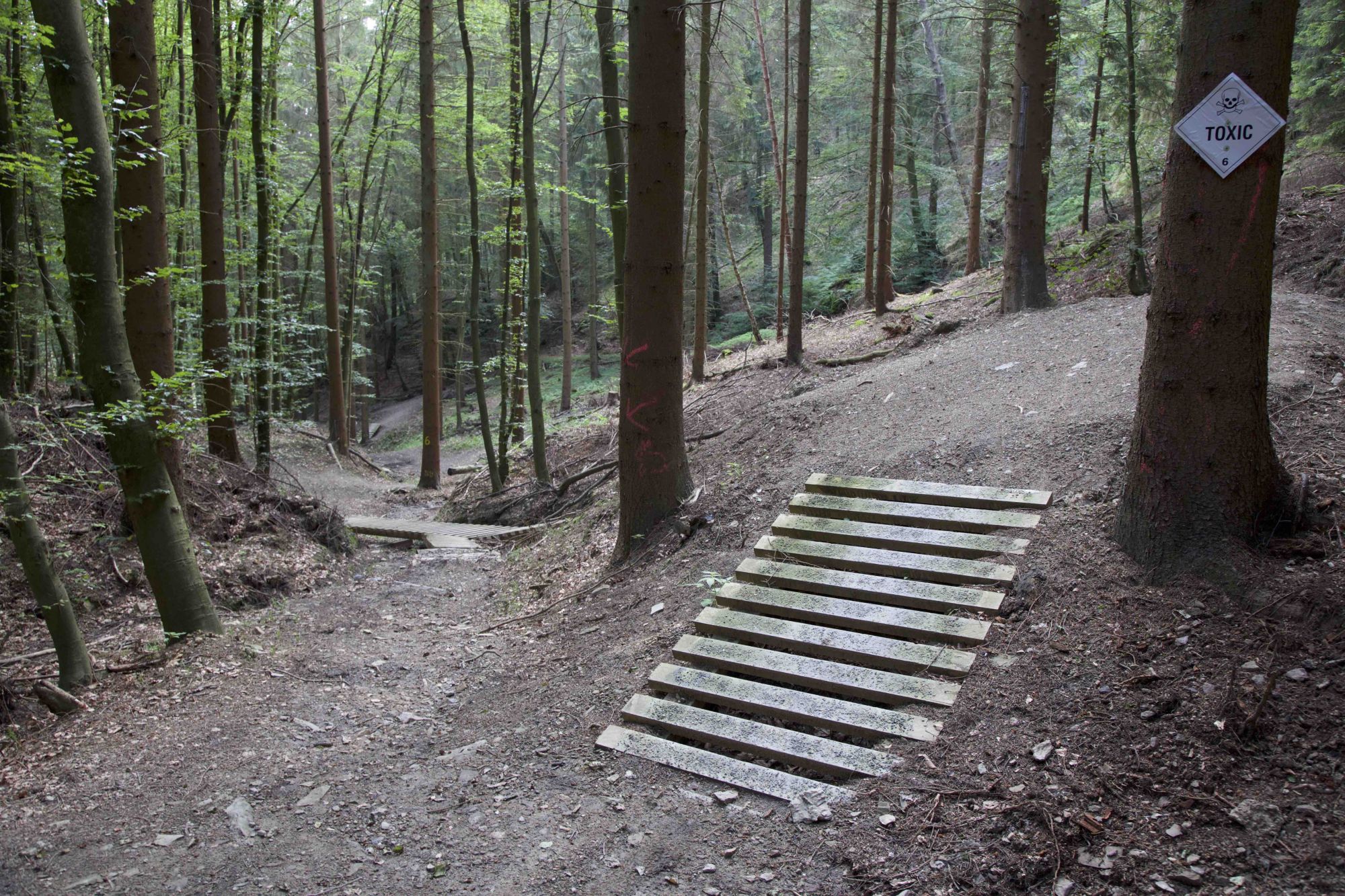 Abschnitt 6.8 – Emser-Bikepark